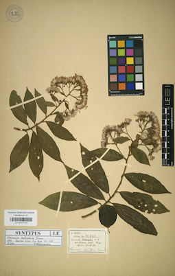 LE 01017110