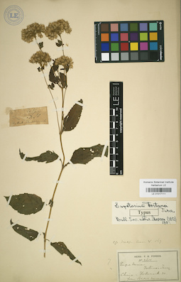 LE 01017111