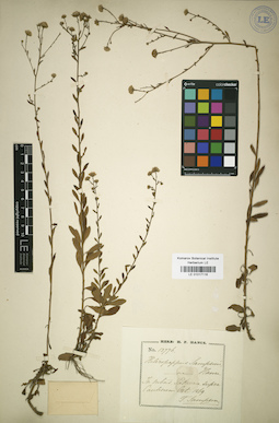 LE 01017116