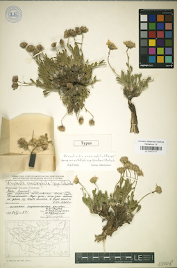 LE 01017117