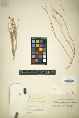 LE 01017121
