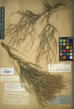 LE 01017122