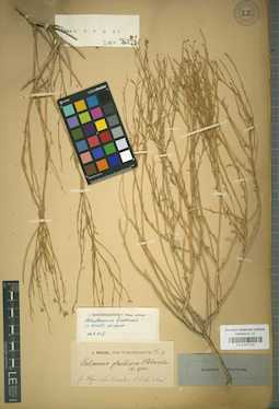 LE 01017123