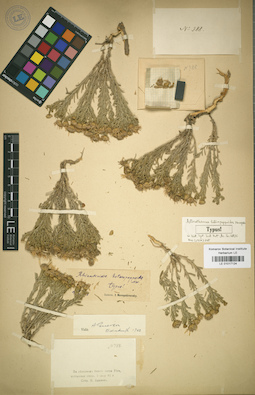LE 01017124