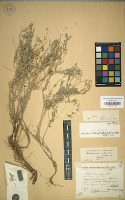 LE 01017125