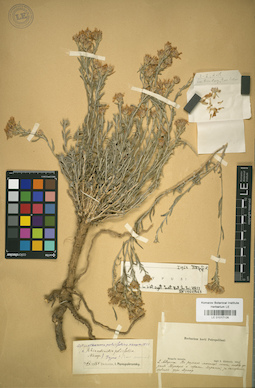 LE 01017126