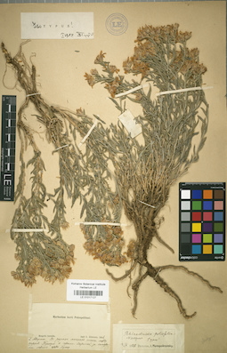 LE 01017127