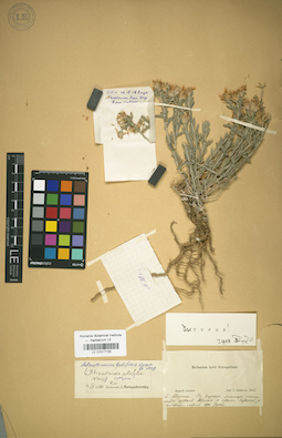 LE 01017128