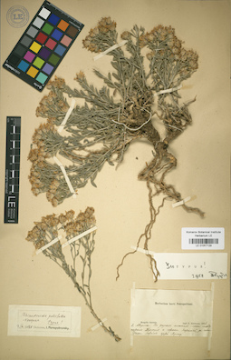 LE 01017129