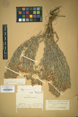 LE 01017130