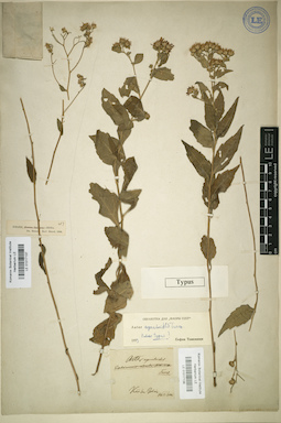 LE 01017137