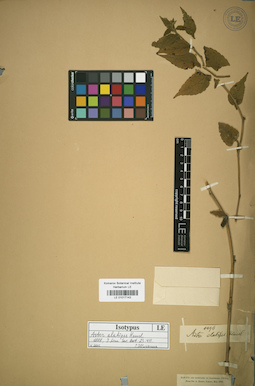 LE 01017143