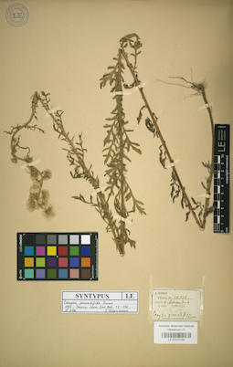 LE 01017156
