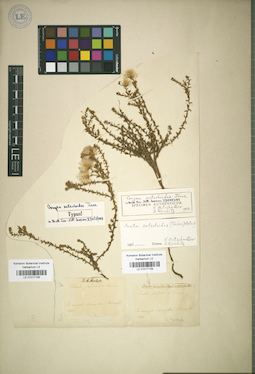 LE 01017159