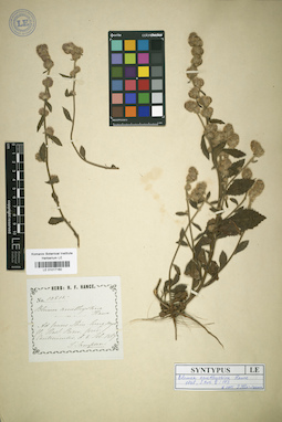 LE 01017160