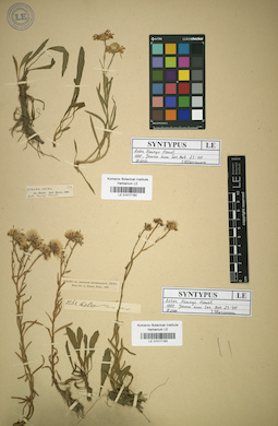 LE 01017162