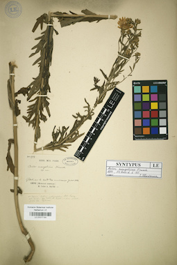 LE 01017164