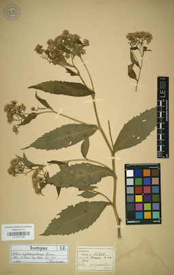 LE 01017165
