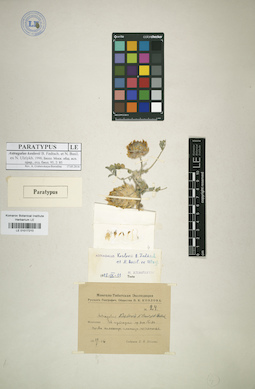 LE 01017210