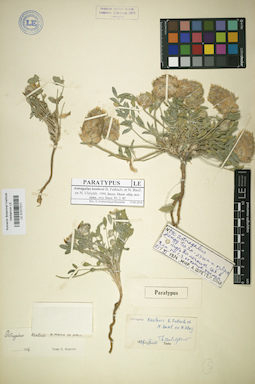 LE 01017211