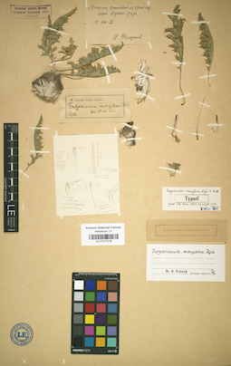 LE 01017216