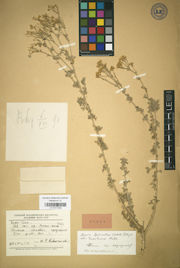 LE 01017229