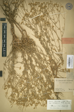 LE 01017230