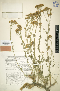 LE 01017232
