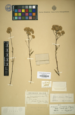 LE 01017233