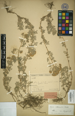 LE 01017236