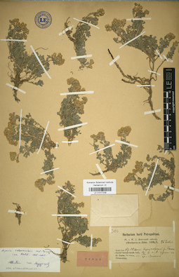 LE 01017238