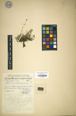 LE 01017245