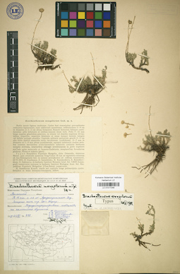 LE 01017246