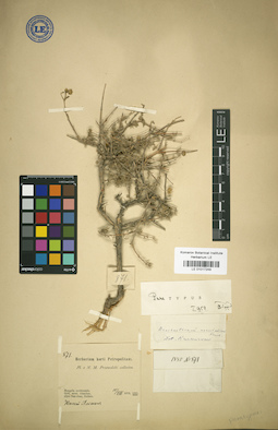 LE 01017249