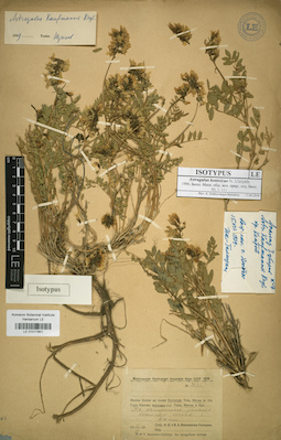 LE 01017801