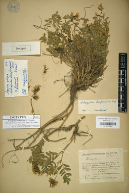 LE 01017802