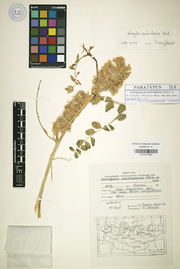 LE 01017803