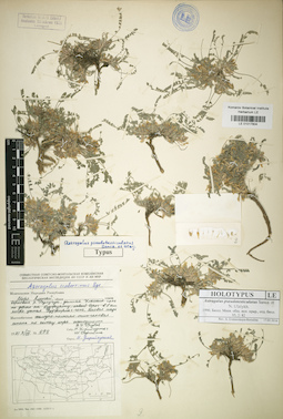 LE 01017804