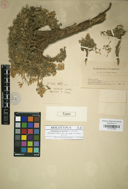 LE 01017805