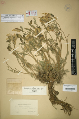 LE 01017807