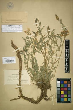 LE 01017809
