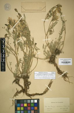 LE 01017810