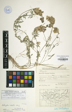 LE 01017812