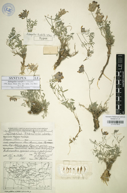 LE 01017815