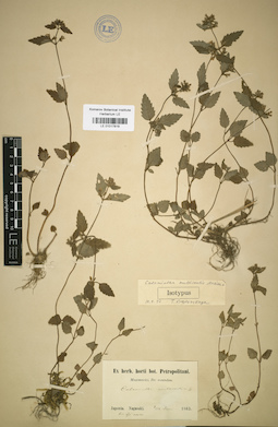 LE 01017819