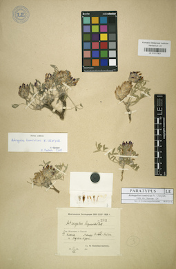 LE 01017821