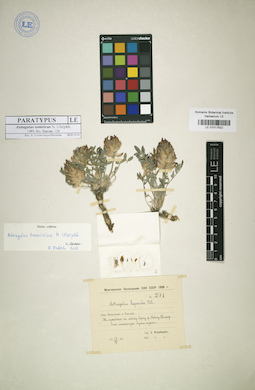 LE 01017822