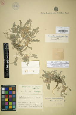 LE 01017823