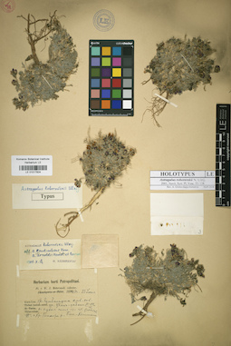 LE 01017824
