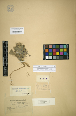 LE 01017825